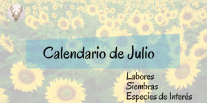 Calendario de Julio